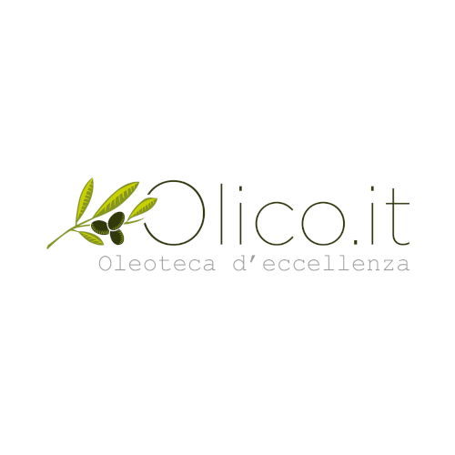 logo olico.it progetto netcomm award