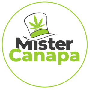 Mister Canapa