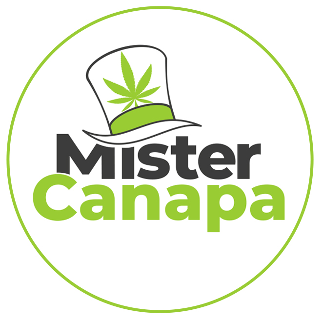 Mister Canapa